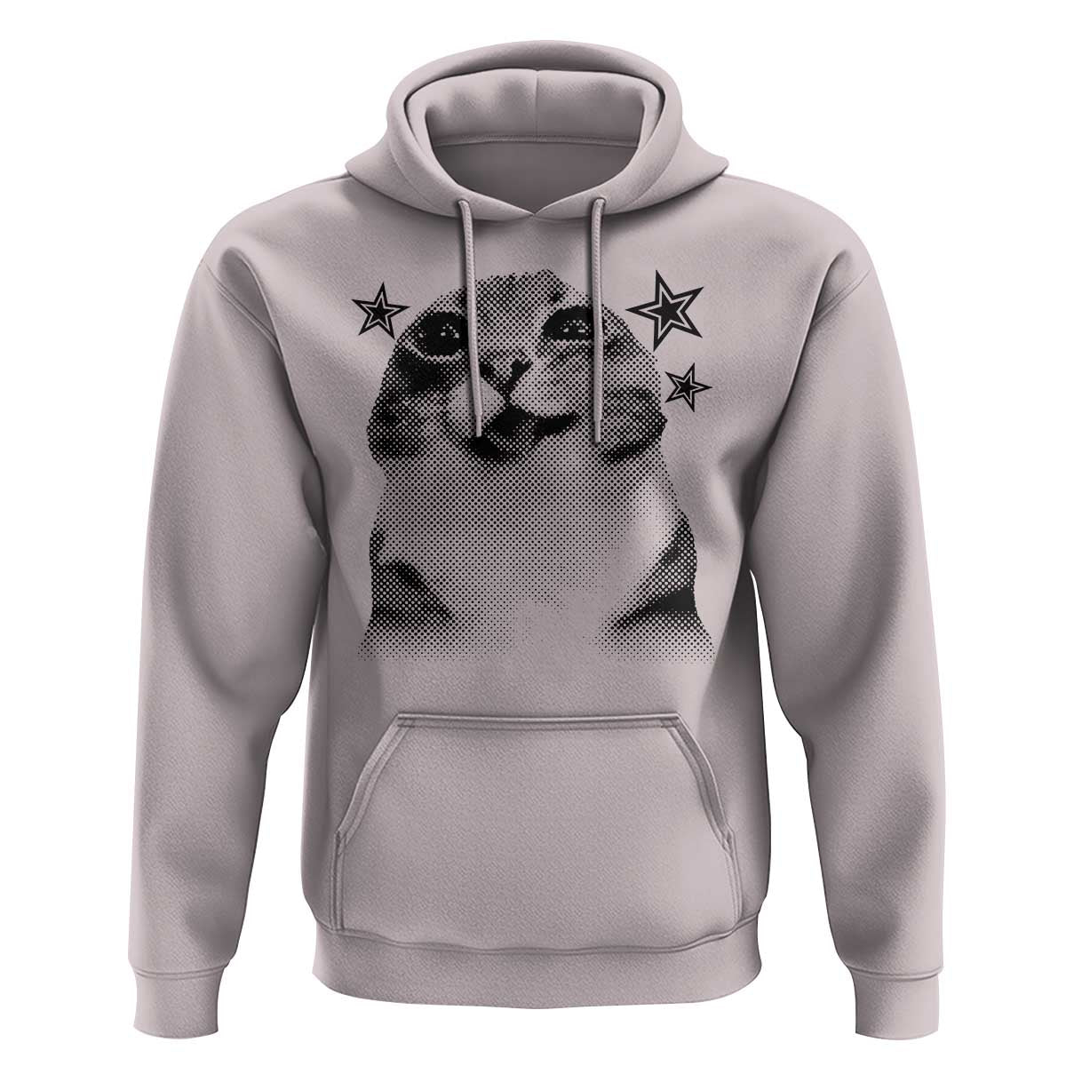Funny Y2k Cat Meme Hoodie Vintage Retro Silly Cats Cats lover Gift - Wonder Print Shop