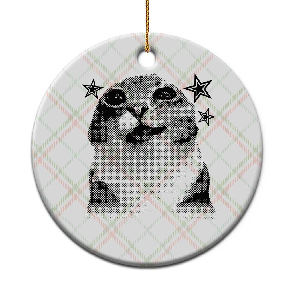 Funny Y2k Cat Meme Ceramic Ornament Vintage Retro Silly Cats Cats lover Gift - Wonder Print Shop