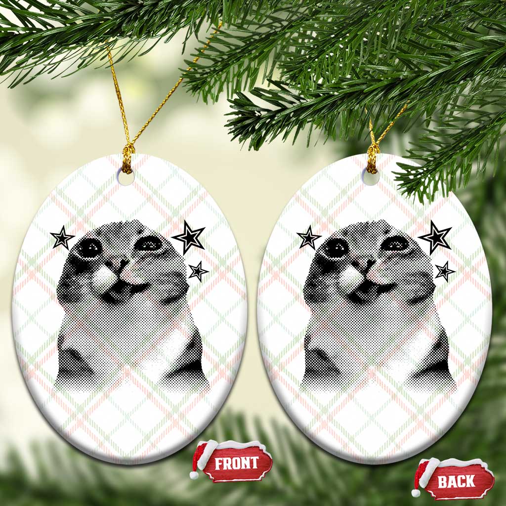 Funny Y2k Cat Meme Ceramic Ornament Vintage Retro Silly Cats Cats lover Gift - Wonder Print Shop