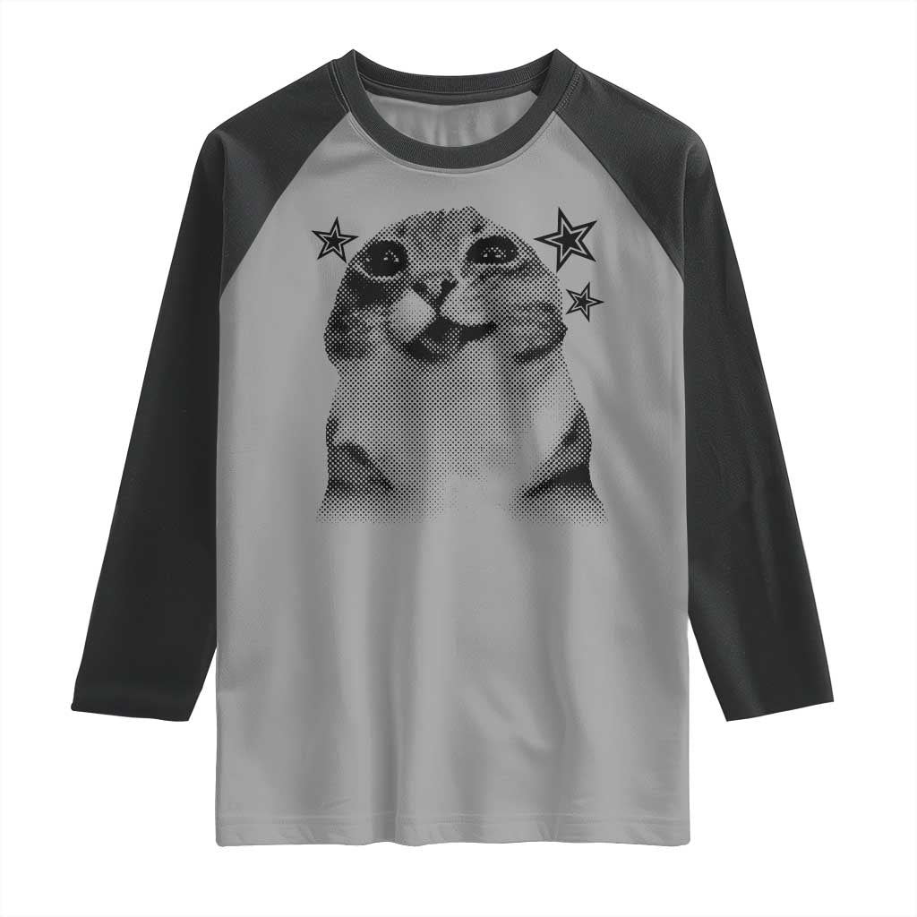 Funny Y2k Cat Meme Raglan Shirt Vintage Retro Silly Cats Cats lover Gift - Wonder Print Shop