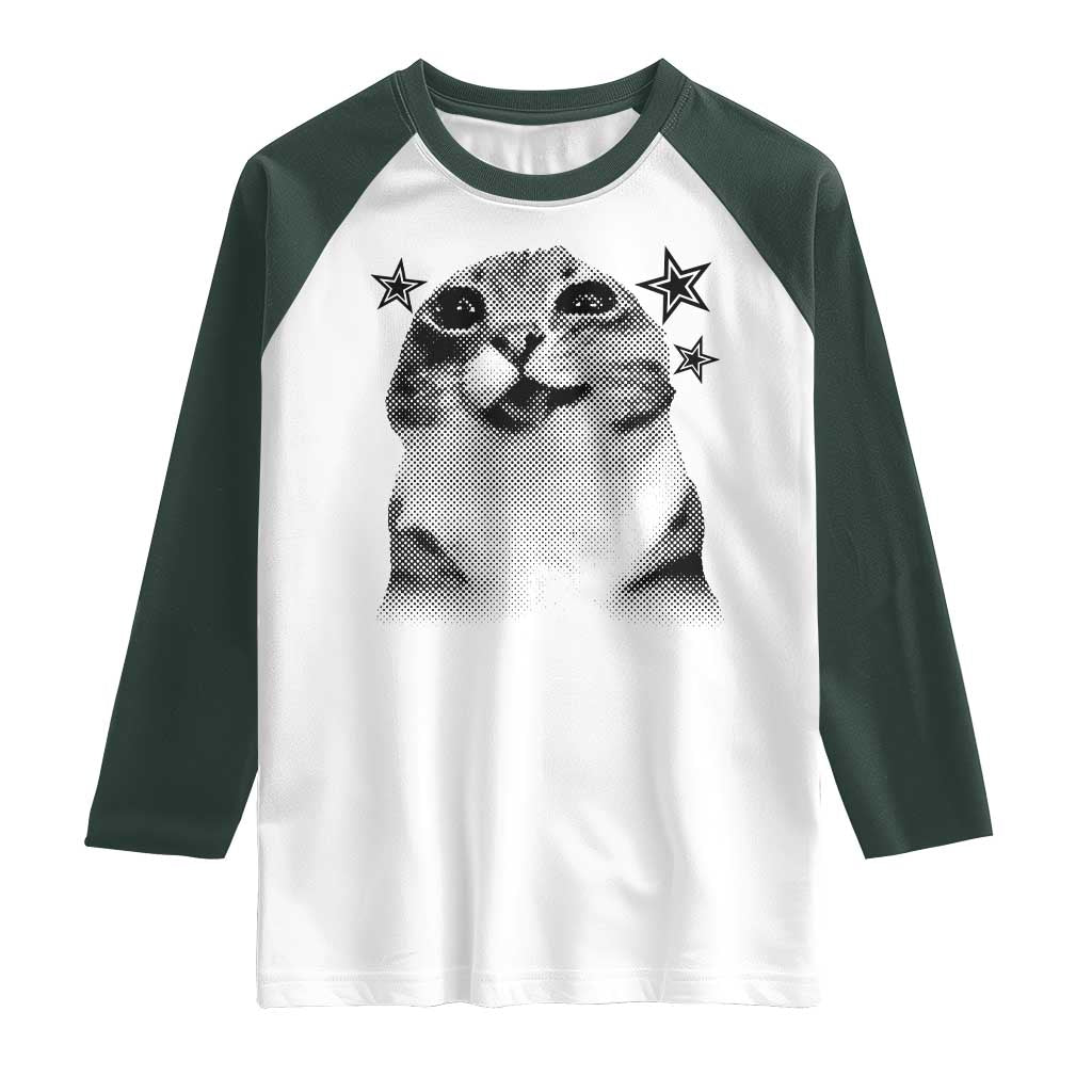 Funny Y2k Cat Meme Raglan Shirt Vintage Retro Silly Cats Cats lover Gift - Wonder Print Shop