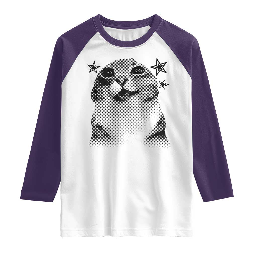 Funny Y2k Cat Meme Raglan Shirt Vintage Retro Silly Cats Cats lover Gift - Wonder Print Shop