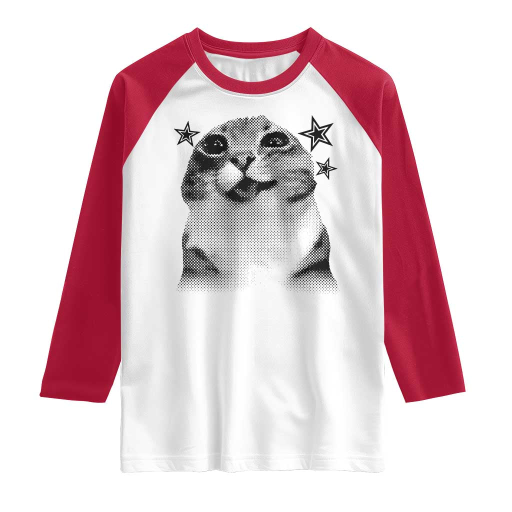 Funny Y2k Cat Meme Raglan Shirt Vintage Retro Silly Cats Cats lover Gift - Wonder Print Shop