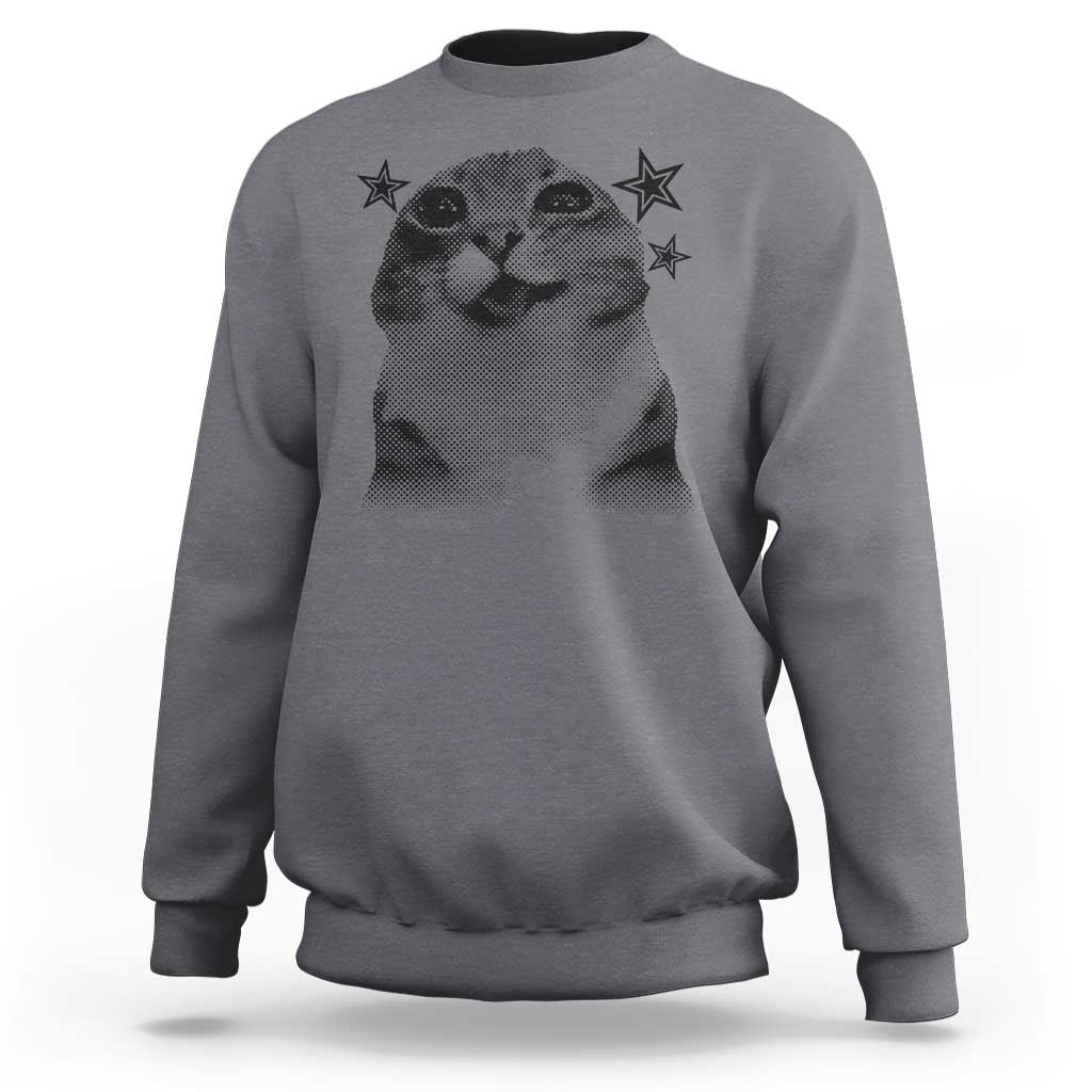 Funny Y2k Cat Meme Sweatshirt Vintage Retro Silly Cats Cats lover Gift - Wonder Print Shop
