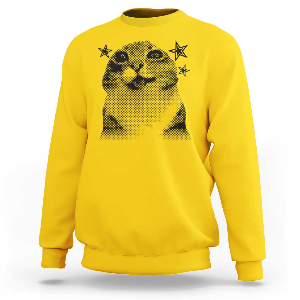 Funny Y2k Cat Meme Sweatshirt Vintage Retro Silly Cats Cats lover Gift - Wonder Print Shop