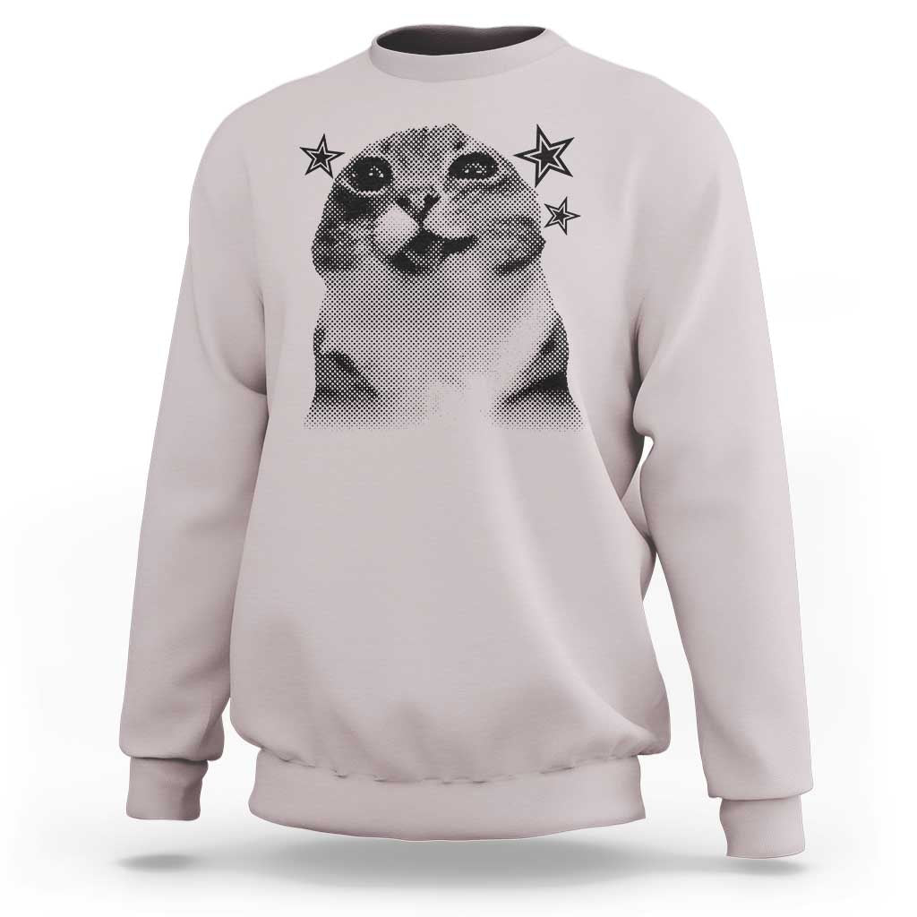Funny Y2k Cat Meme Sweatshirt Vintage Retro Silly Cats Cats lover Gift - Wonder Print Shop