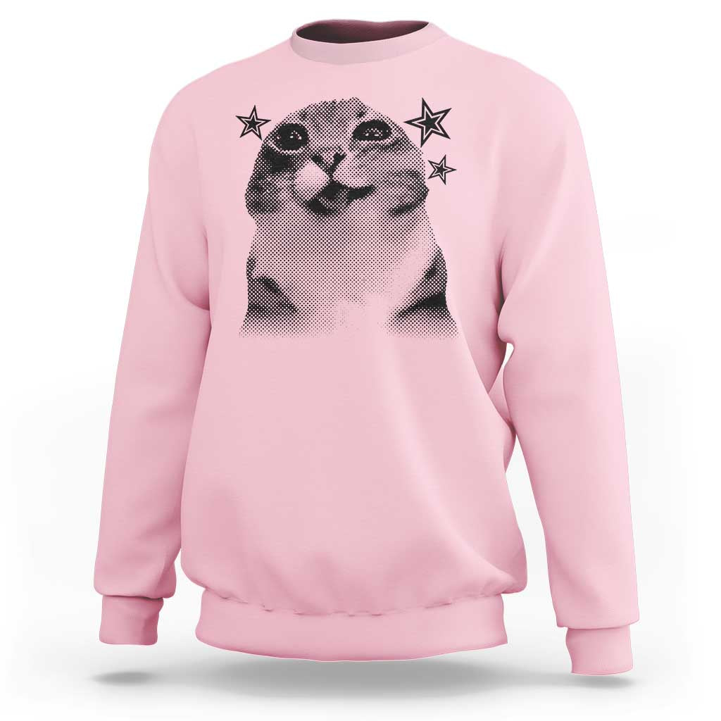 Funny Y2k Cat Meme Sweatshirt Vintage Retro Silly Cats Cats lover Gift - Wonder Print Shop