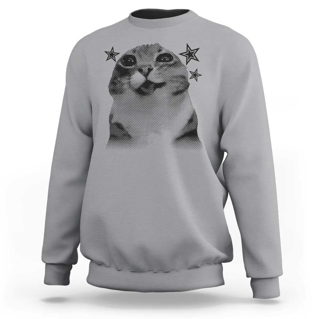 Funny Y2k Cat Meme Sweatshirt Vintage Retro Silly Cats Cats lover Gift - Wonder Print Shop