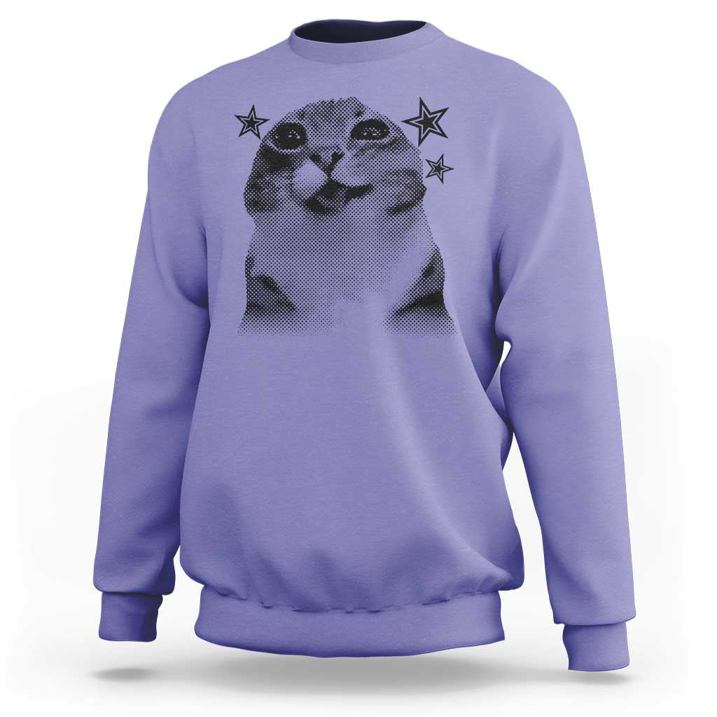 Funny Y2k Cat Meme Sweatshirt Vintage Retro Silly Cats Cats lover Gift - Wonder Print Shop