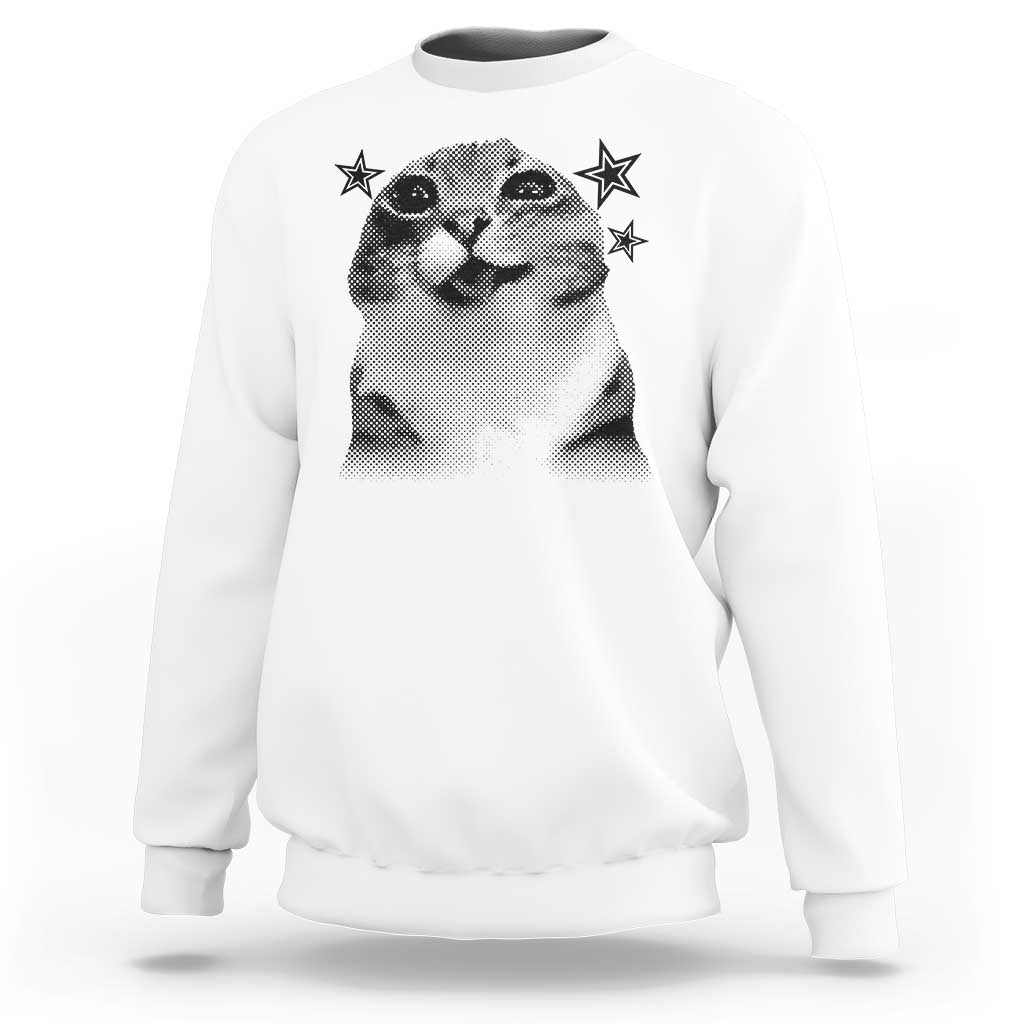 Funny Y2k Cat Meme Sweatshirt Vintage Retro Silly Cats Cats lover Gift - Wonder Print Shop