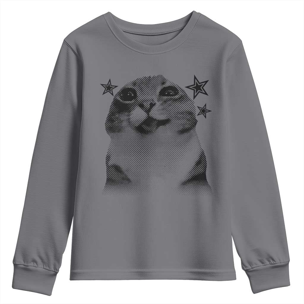 Funny Y2k Cat Meme Youth Sweatshirt Vintage Retro Silly Cats Cats lover Gift - Wonder Print Shop