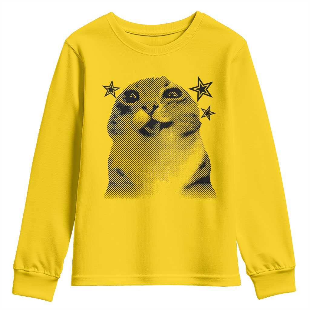 Funny Y2k Cat Meme Youth Sweatshirt Vintage Retro Silly Cats Cats lover Gift - Wonder Print Shop