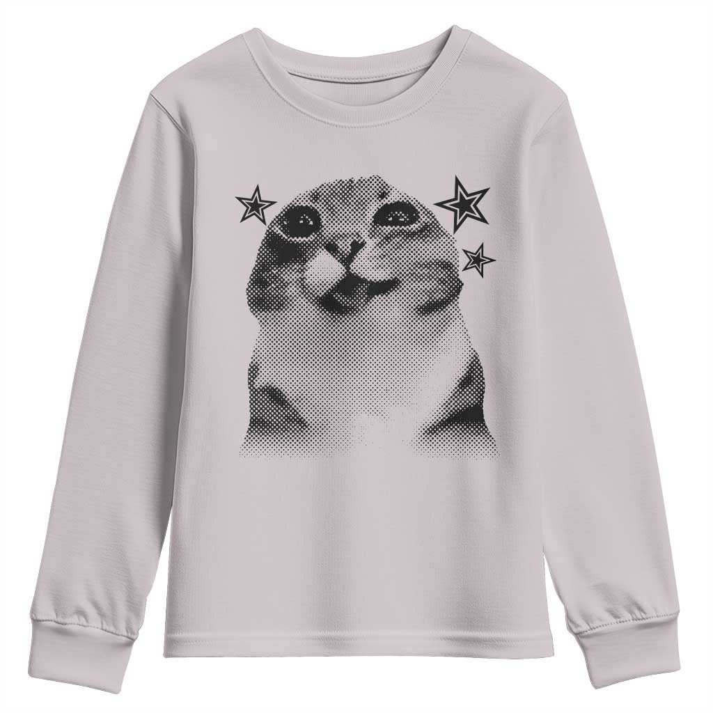 Funny Y2k Cat Meme Youth Sweatshirt Vintage Retro Silly Cats Cats lover Gift - Wonder Print Shop