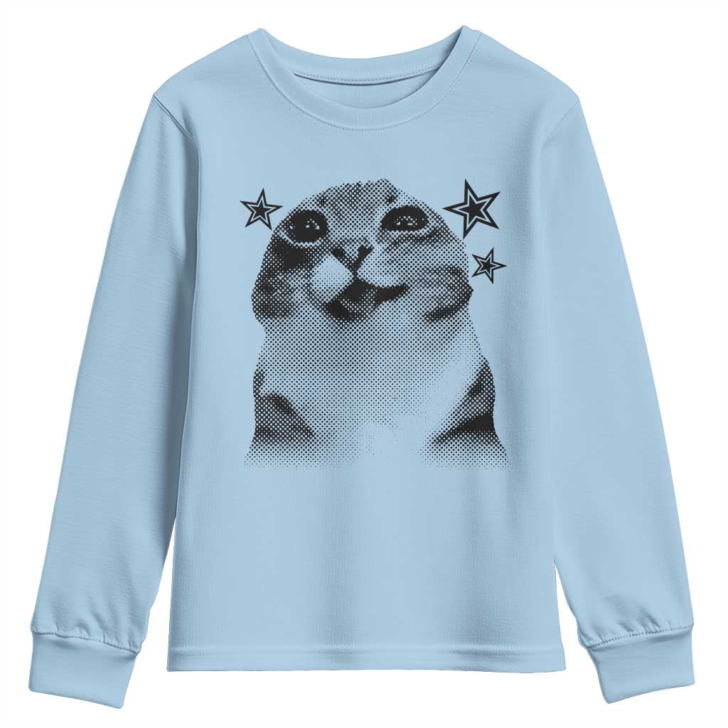 Funny Y2k Cat Meme Youth Sweatshirt Vintage Retro Silly Cats Cats lover Gift - Wonder Print Shop