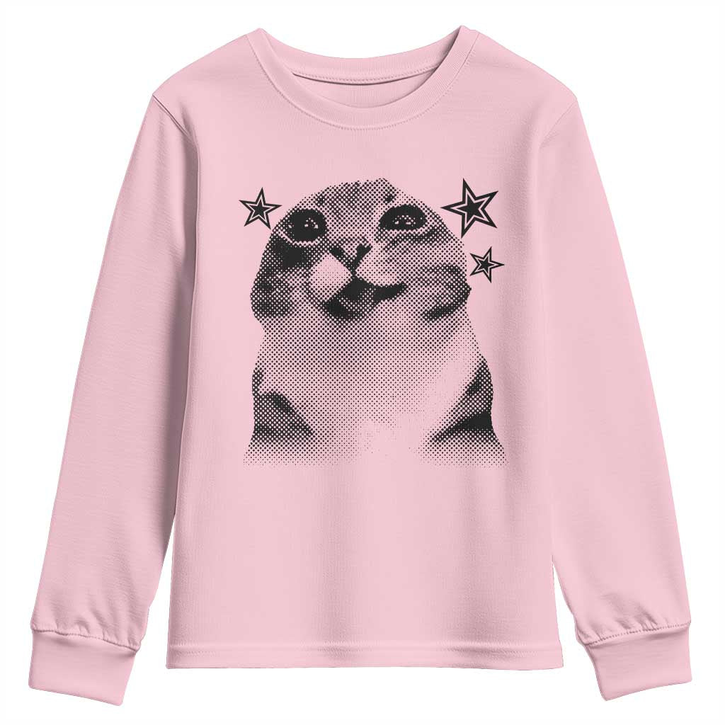 Funny Y2k Cat Meme Youth Sweatshirt Vintage Retro Silly Cats Cats lover Gift - Wonder Print Shop