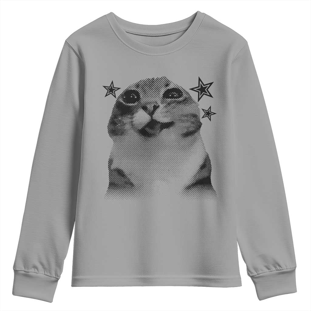 Funny Y2k Cat Meme Youth Sweatshirt Vintage Retro Silly Cats Cats lover Gift - Wonder Print Shop