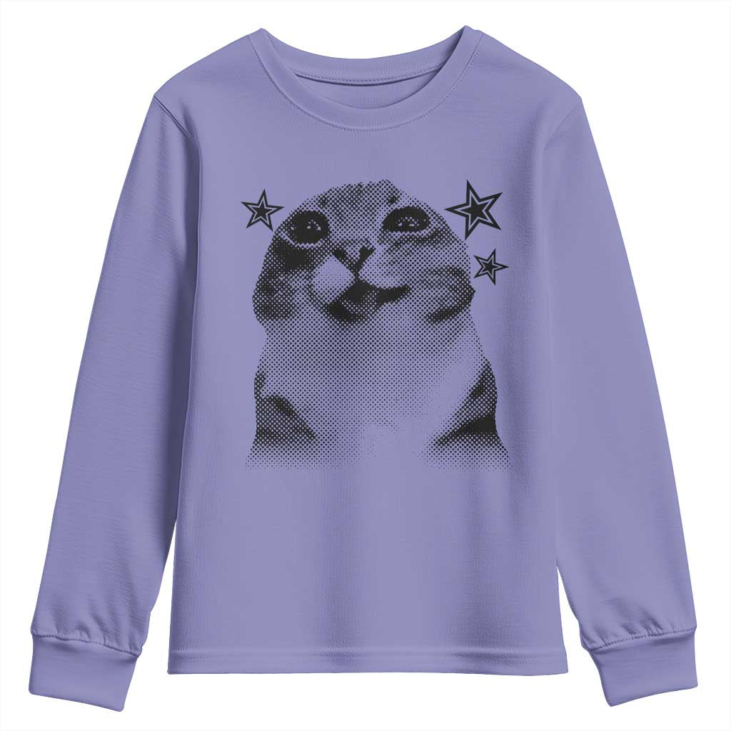 Funny Y2k Cat Meme Youth Sweatshirt Vintage Retro Silly Cats Cats lover Gift - Wonder Print Shop