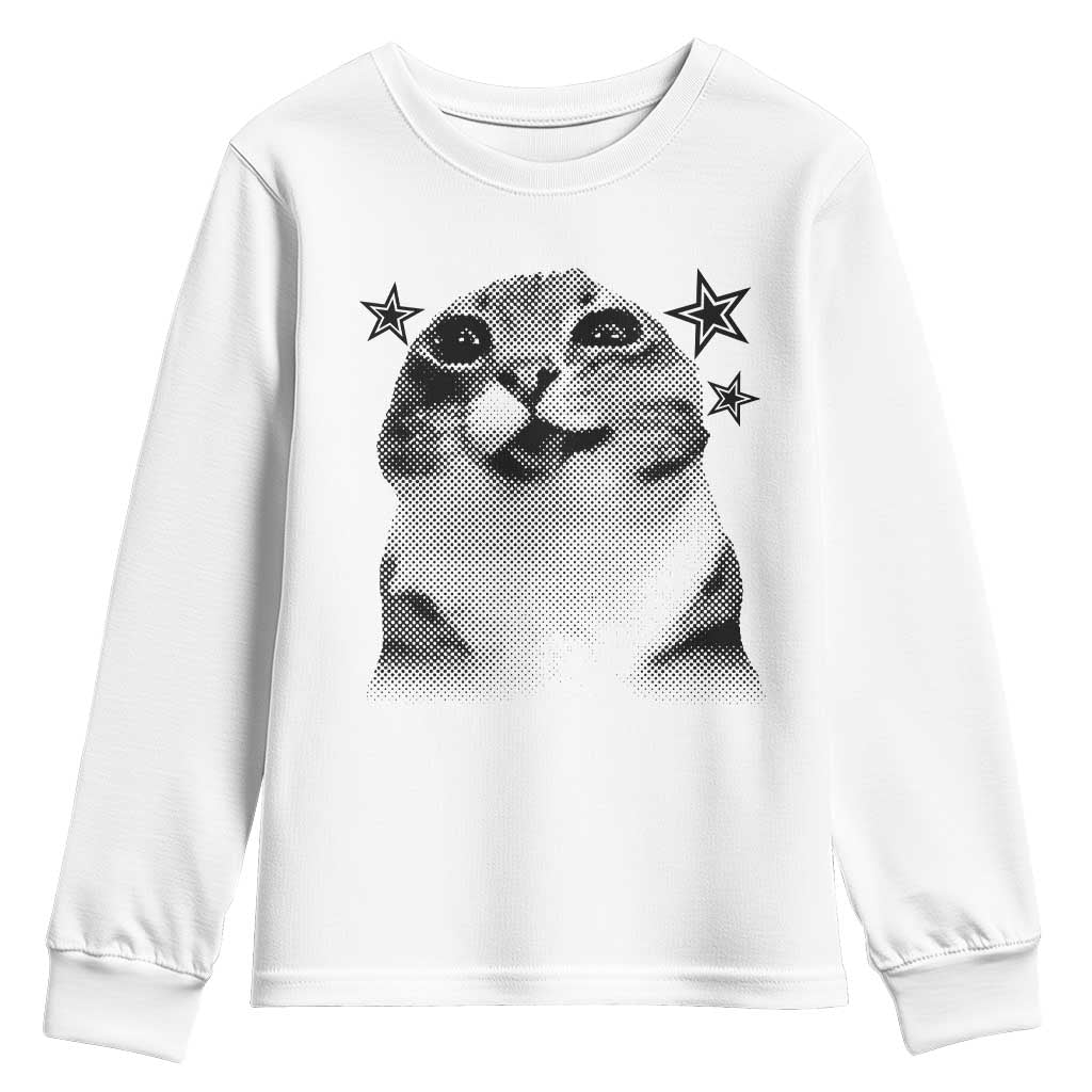 Funny Y2k Cat Meme Youth Sweatshirt Vintage Retro Silly Cats Cats lover Gift - Wonder Print Shop