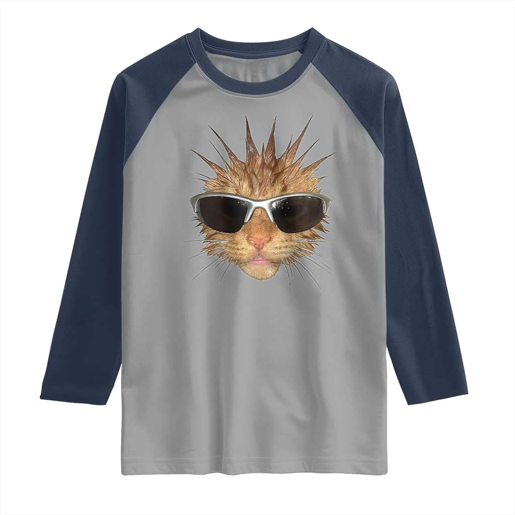 Funny Y2k Retro Cat Meme Raglan Shirt Vintage Cat Edgy Retro 90s Streetwear - Wonder Print Shop