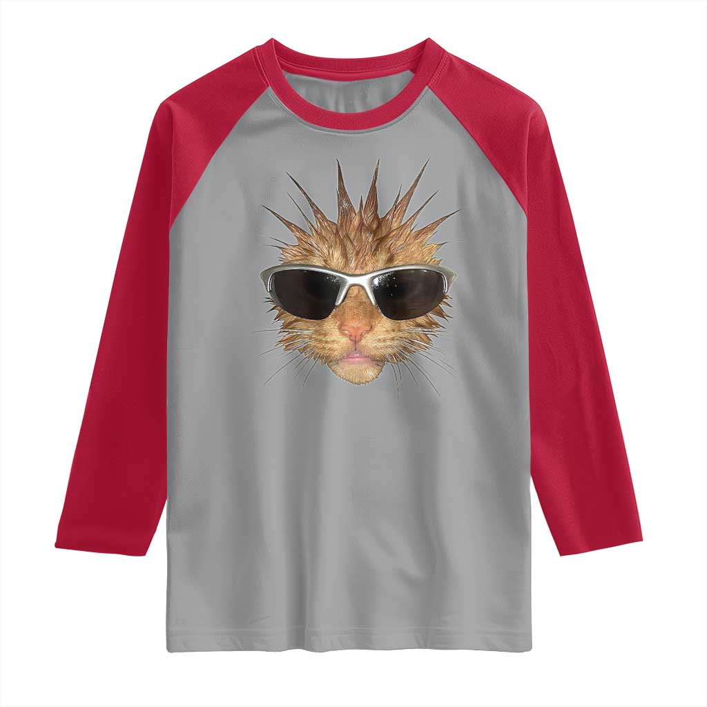 Funny Y2k Retro Cat Meme Raglan Shirt Vintage Cat Edgy Retro 90s Streetwear - Wonder Print Shop