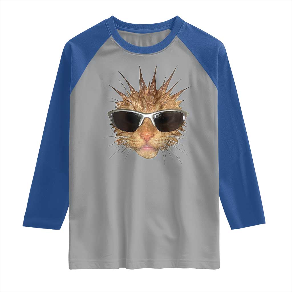 Funny Y2k Retro Cat Meme Raglan Shirt Vintage Cat Edgy Retro 90s Streetwear - Wonder Print Shop