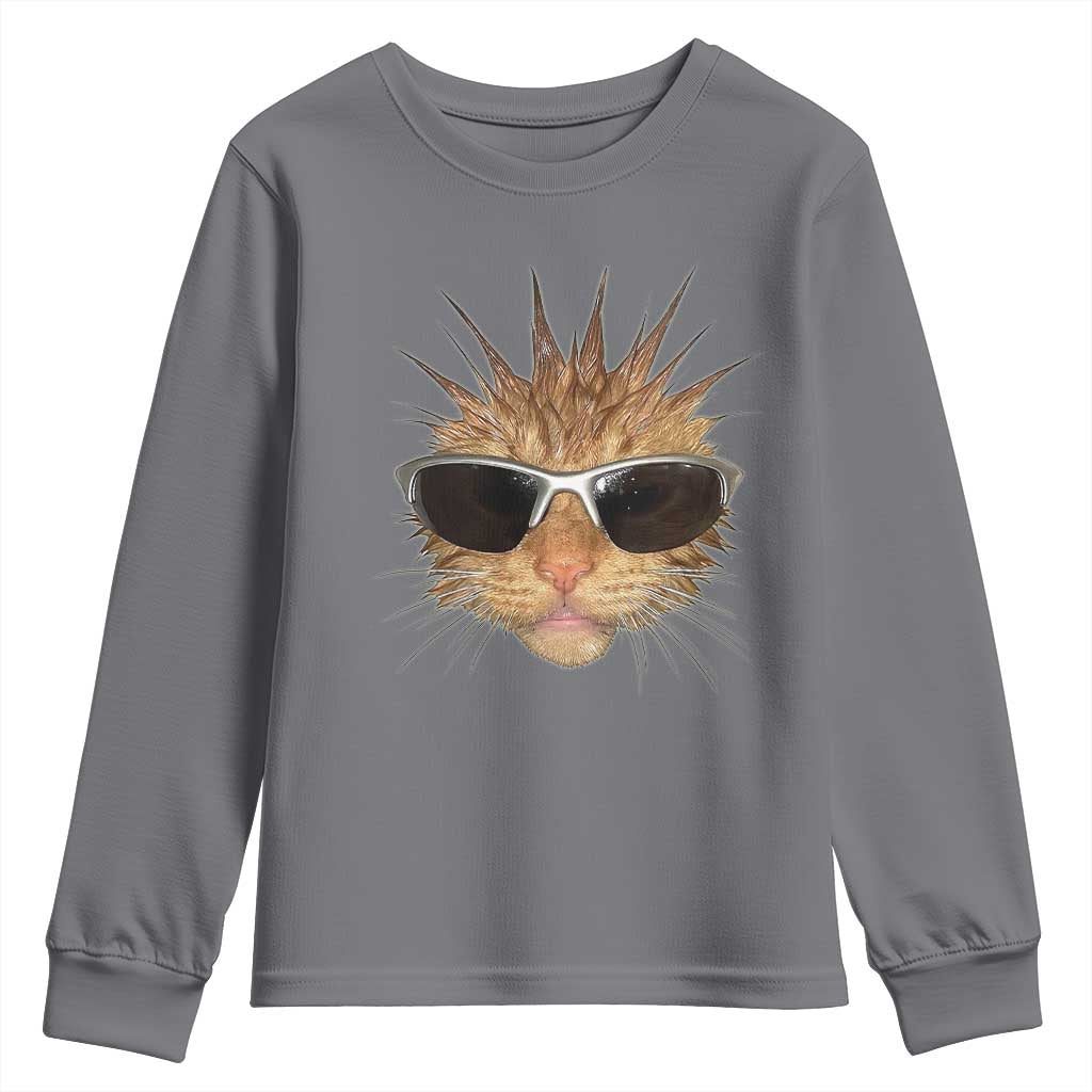 Funny Y2k Retro Cat Meme Youth Sweatshirt Vintage Cat Edgy Retro 90s Streetwear - Wonder Print Shop