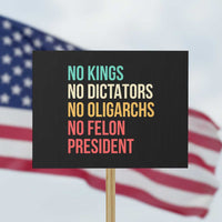 No Kings Protest Sign Retro Resistance
