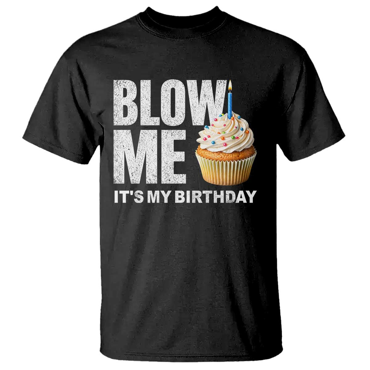 Blow Me Its My Birthday T Shirt Funny Adult Humor Dirty Jokes Bday Gag Gifts