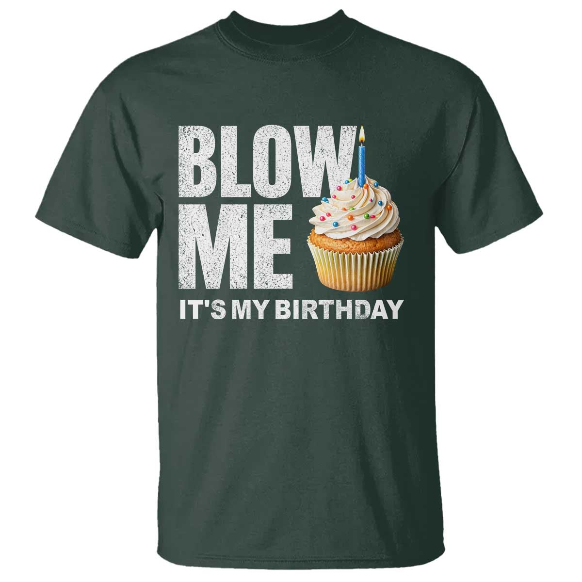 Blow Me Its My Birthday T Shirt Funny Adult Humor Dirty Jokes Bday Gag Gifts
