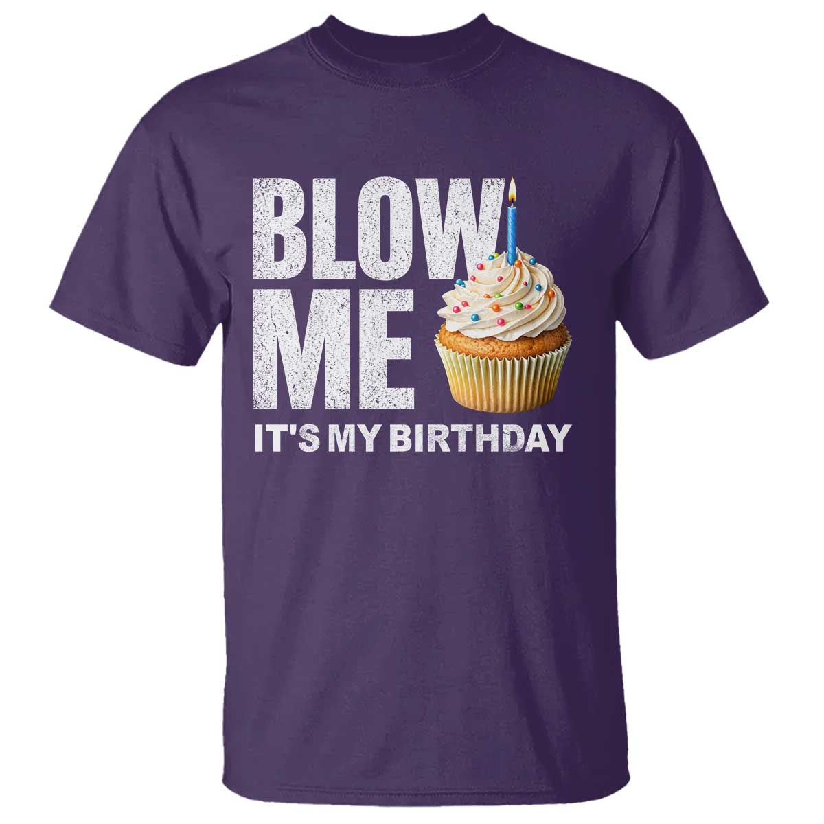 Blow Me Its My Birthday T Shirt Funny Adult Humor Dirty Jokes Bday Gag Gifts