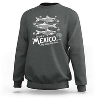 Gulf of Mexico Sweatshirt Golfo de México 1550 Texas Alabama Florida Beach