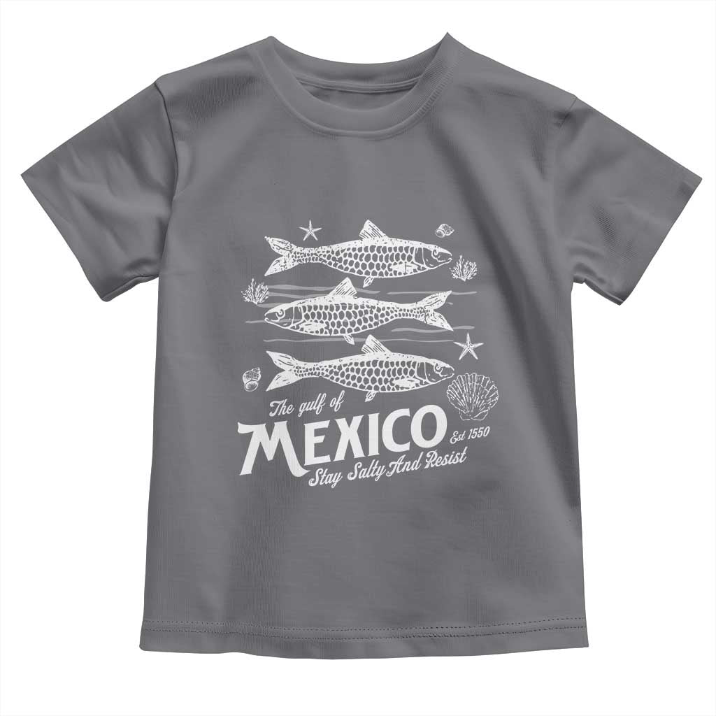 Gulf of Mexico Toddler T Shirt Golfo de México 1550 Texas Alabama Florida Beach
