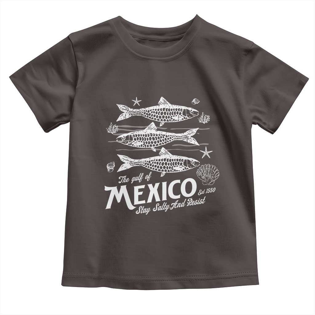 Gulf of Mexico Toddler T Shirt Golfo de México 1550 Texas Alabama Florida Beach
