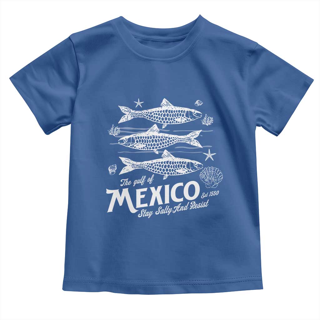 Gulf of Mexico Toddler T Shirt Golfo de México 1550 Texas Alabama Florida Beach