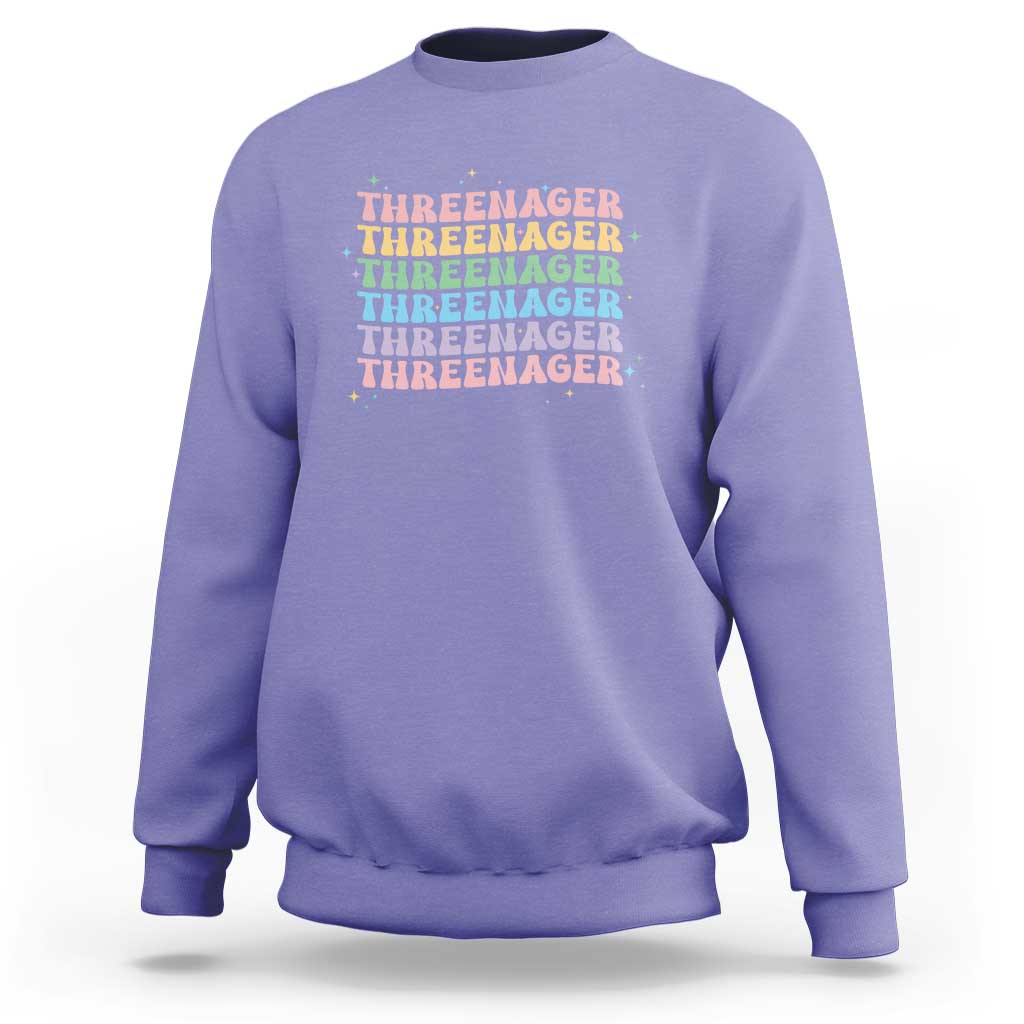 3rd Birthday Sweatshirt Toddler Threenager 3 Years Old Birthday Outfit