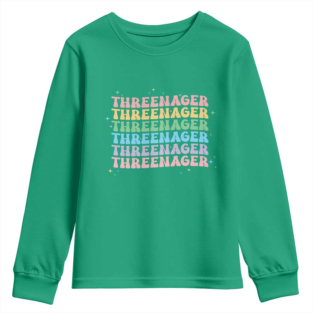 3rd Birthday Youth Sweatshirt Toddler Threenager 3 Years Old Birthday Outfit