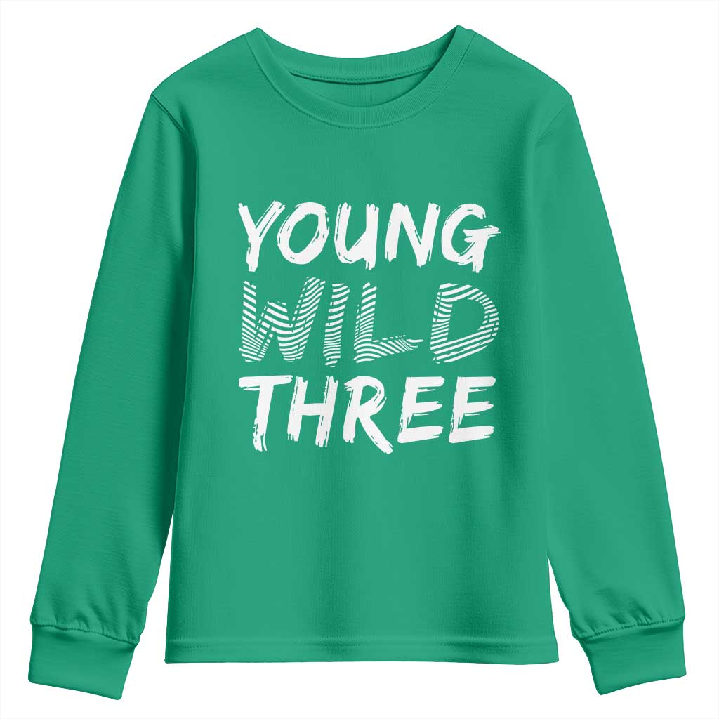 Toddler 3rd Birthday Youth Sweatshirt Young Wild And Three - Wonder Print Shop
