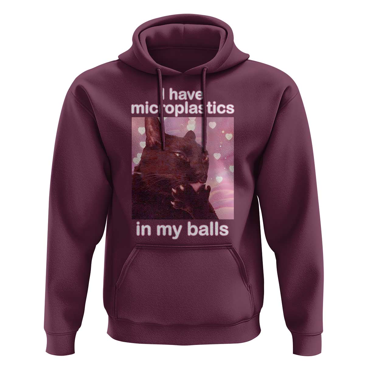 Funny Cat Meme Hoodie I Have Microplastics In My Balls Dank Meme - Wonder Print Shop