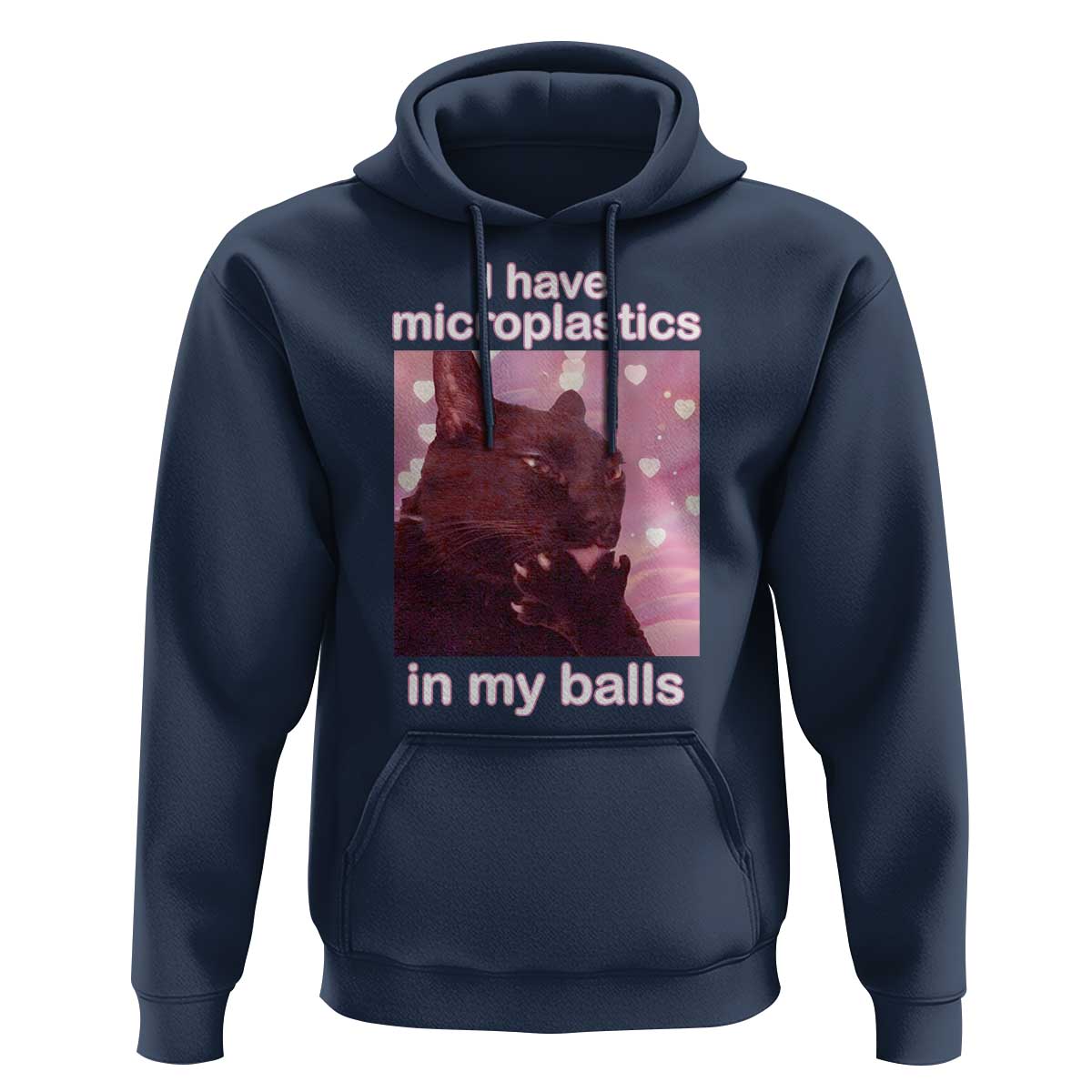 Funny Cat Meme Hoodie I Have Microplastics In My Balls Dank Meme - Wonder Print Shop