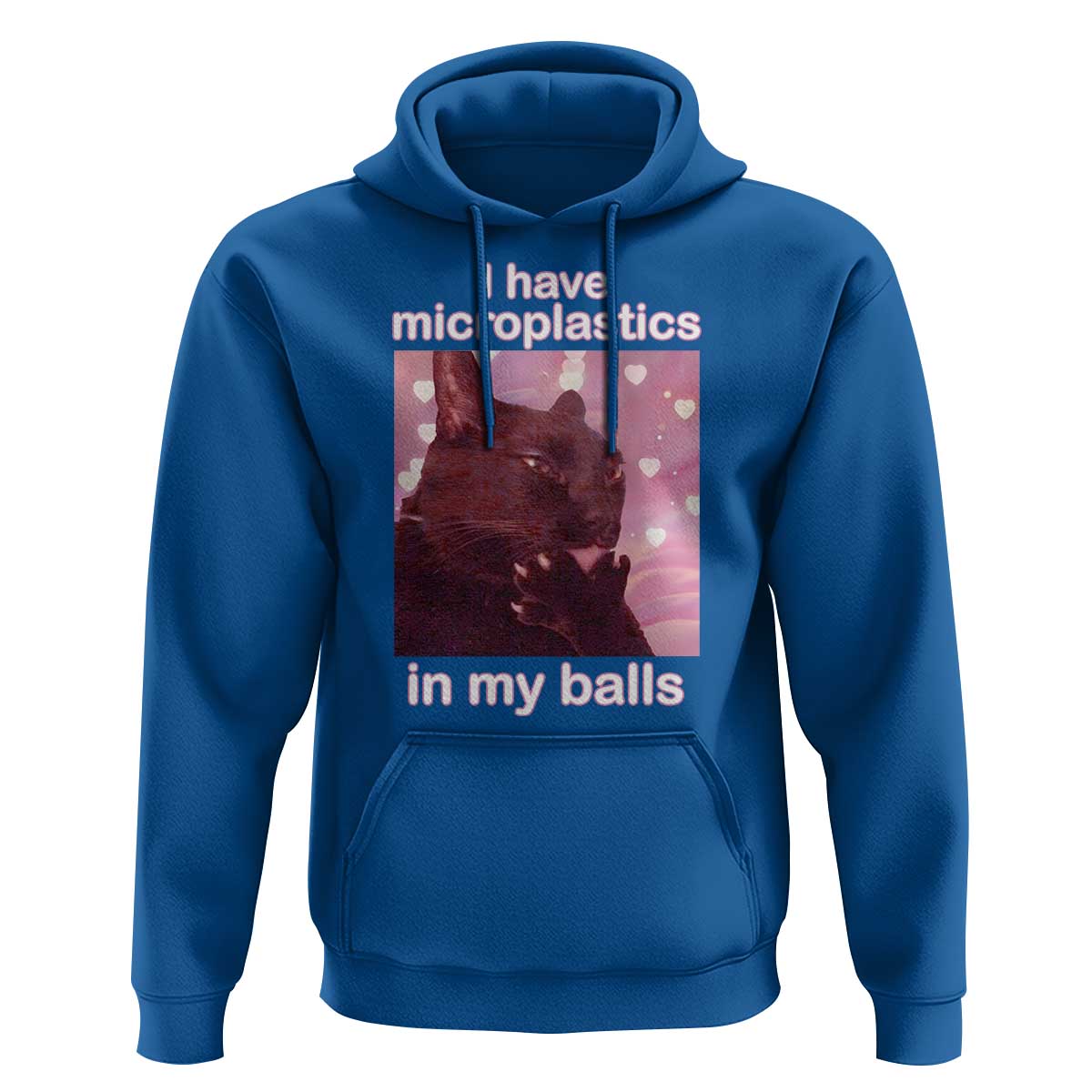 Funny Cat Meme Hoodie I Have Microplastics In My Balls Dank Meme - Wonder Print Shop