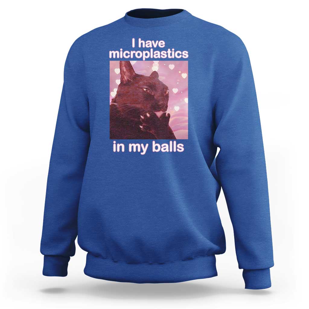 Funny Cat Meme Sweatshirt I Have Microplastics In My Balls Dank Meme - Wonder Print Shop