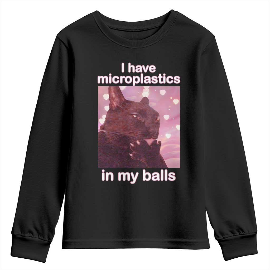 Funny Cat Meme Youth Sweatshirt I Have Microplastics In My Balls Dank Meme - Wonder Print Shop
