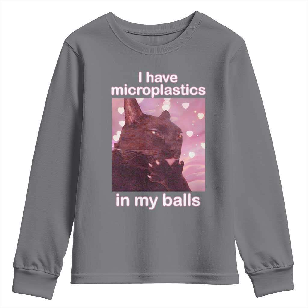 Funny Cat Meme Youth Sweatshirt I Have Microplastics In My Balls Dank Meme - Wonder Print Shop