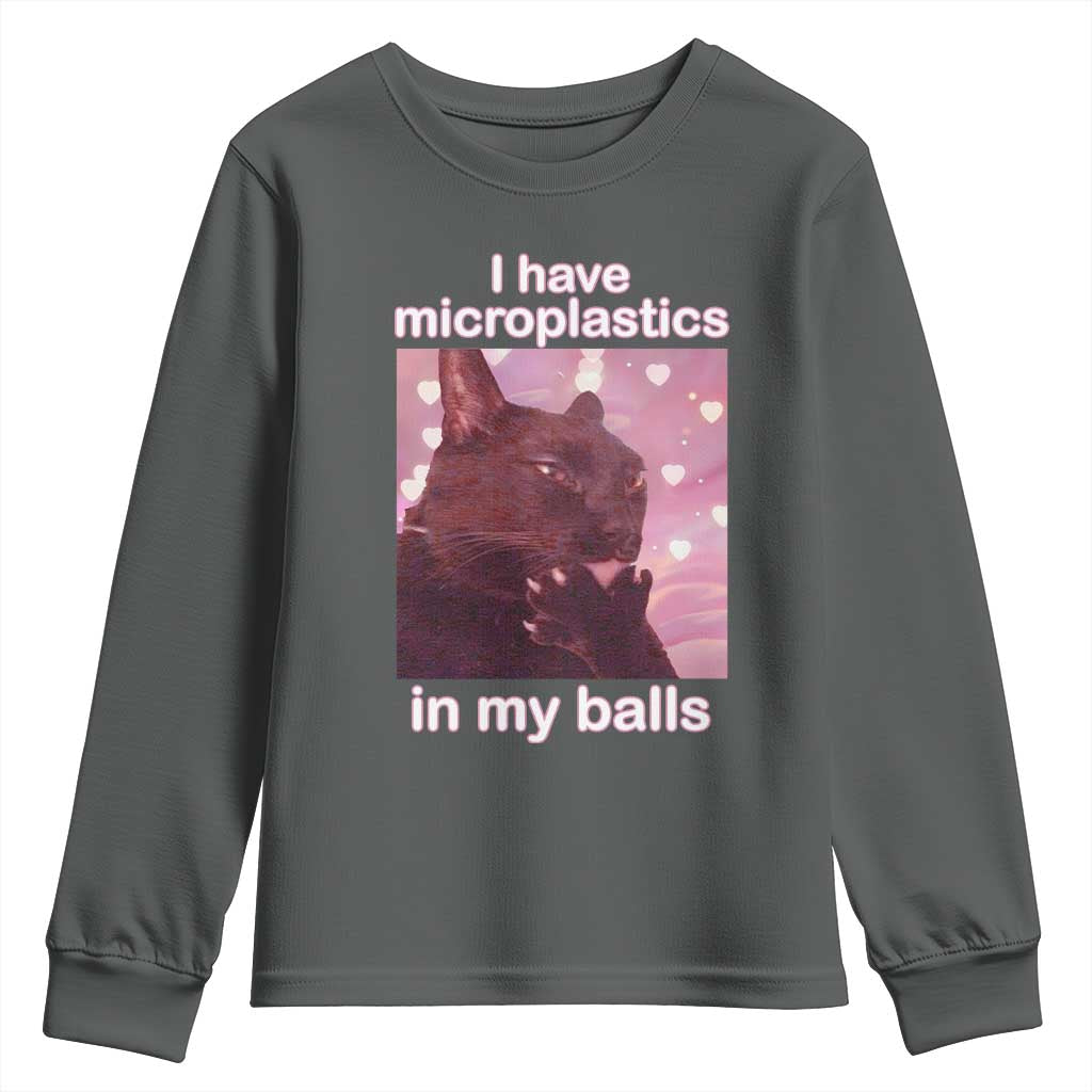 Funny Cat Meme Youth Sweatshirt I Have Microplastics In My Balls Dank Meme - Wonder Print Shop