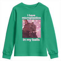 Funny Cat Meme Youth Sweatshirt I Have Microplastics In My Balls Dank Meme - Wonder Print Shop