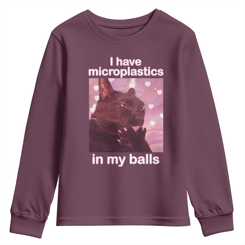 Funny Cat Meme Youth Sweatshirt I Have Microplastics In My Balls Dank Meme - Wonder Print Shop