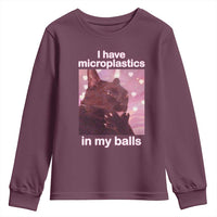 Funny Cat Meme Youth Sweatshirt I Have Microplastics In My Balls Dank Meme - Wonder Print Shop