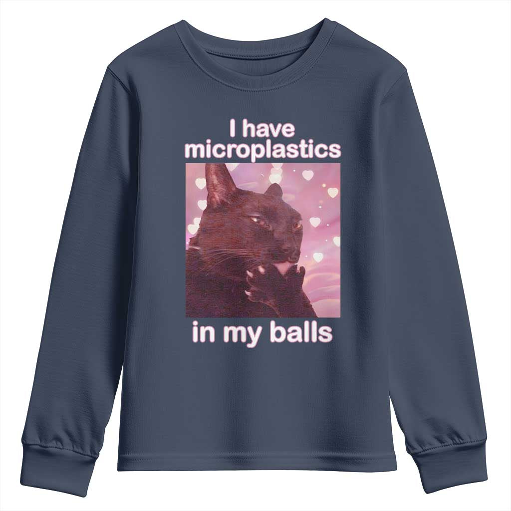 Funny Cat Meme Youth Sweatshirt I Have Microplastics In My Balls Dank Meme - Wonder Print Shop