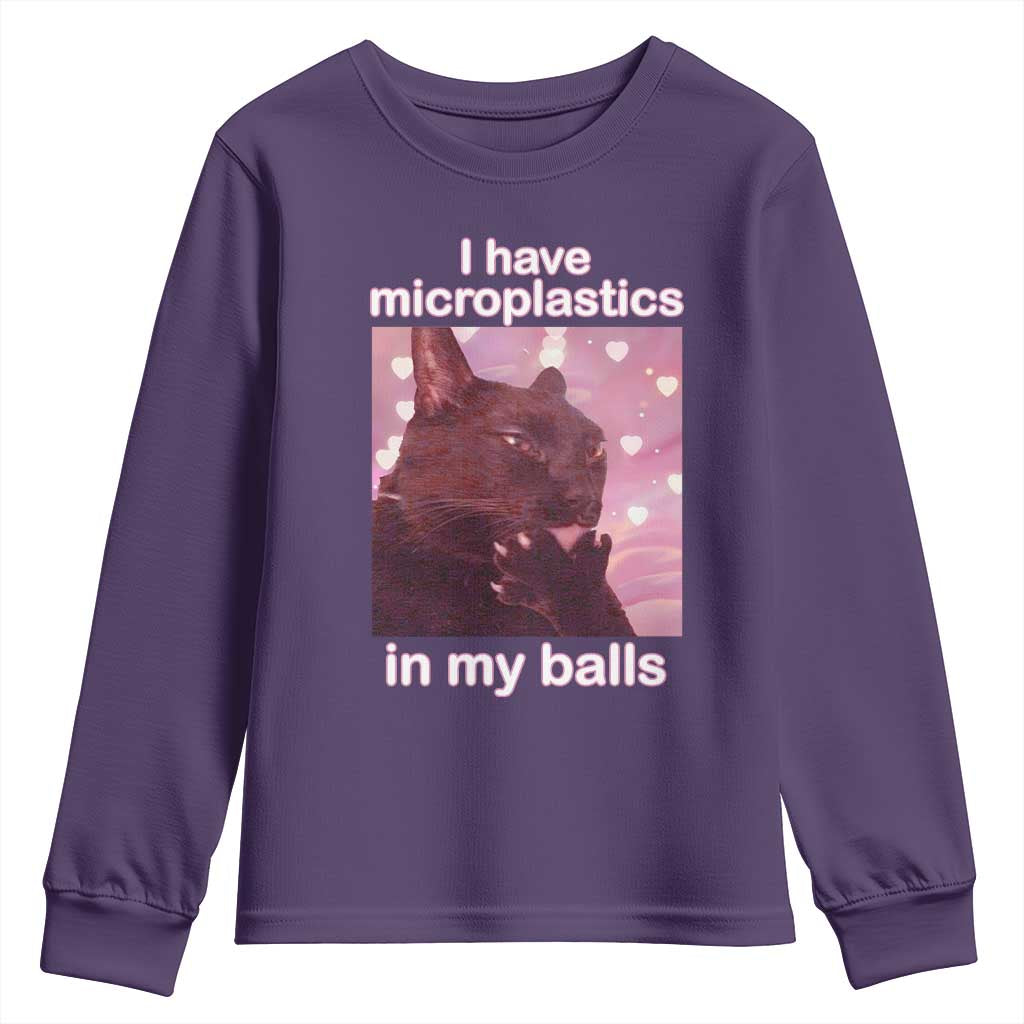 Funny Cat Meme Youth Sweatshirt I Have Microplastics In My Balls Dank Meme - Wonder Print Shop