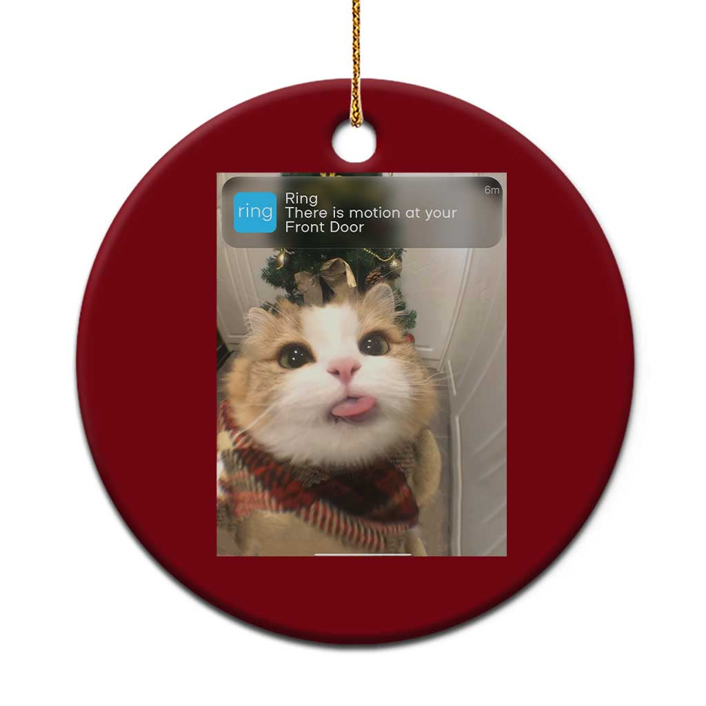 Funny Cat Christmas Ceramic Ornament Ring There is Motion at Your Front Door Meme Xmas Tree - Wonder Print Shop